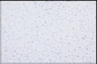 250mm White Sparkle (Gloss)